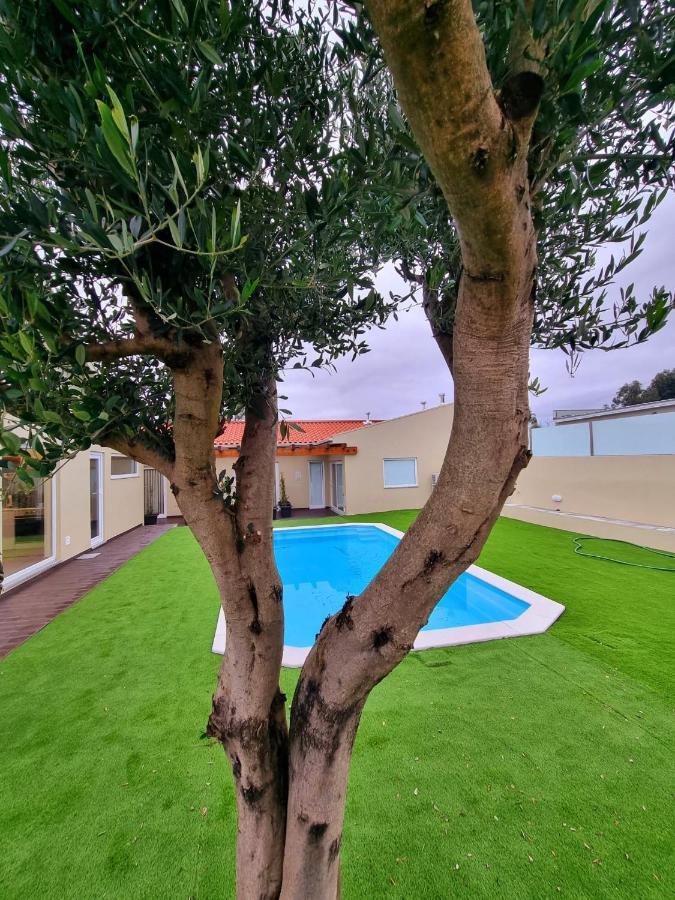 Com Piscina * Vila Nova de Gaia